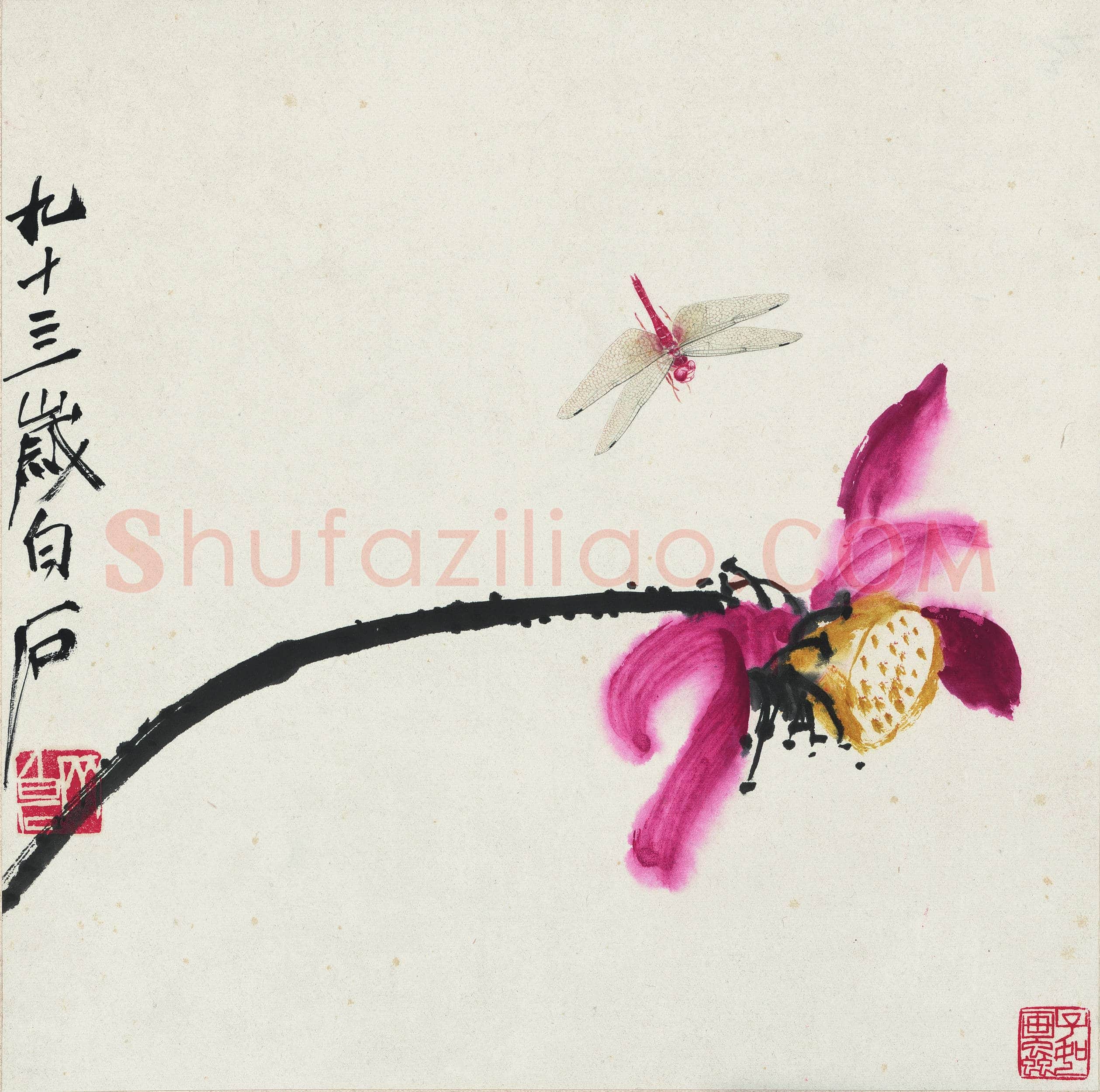 齐白石 荷花蜻蜓图