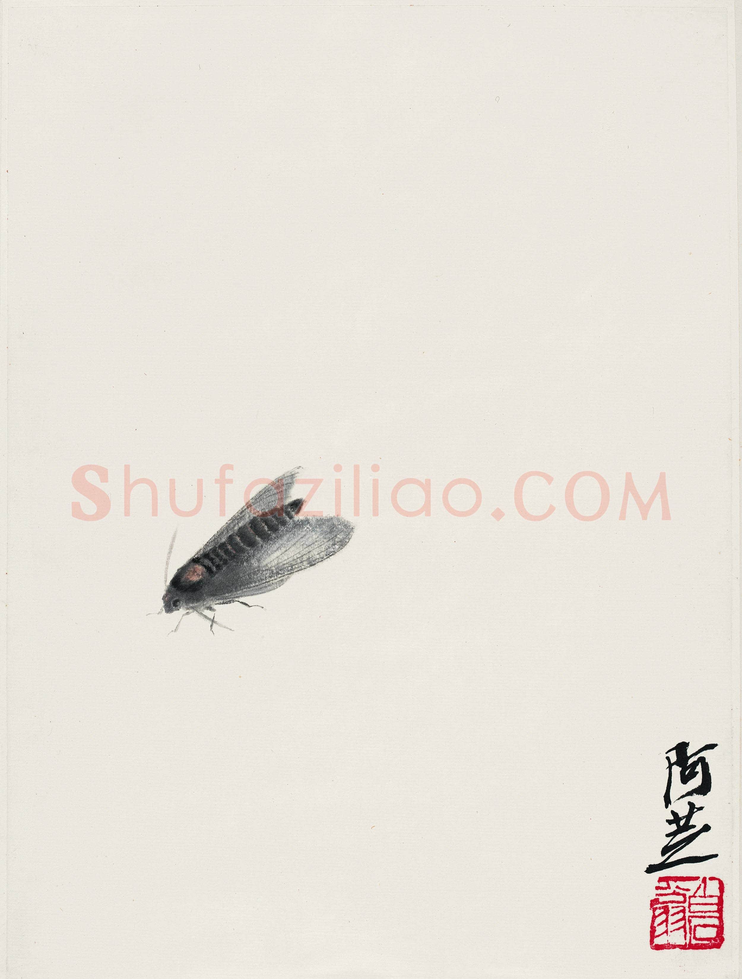 齐白石 灰蛾