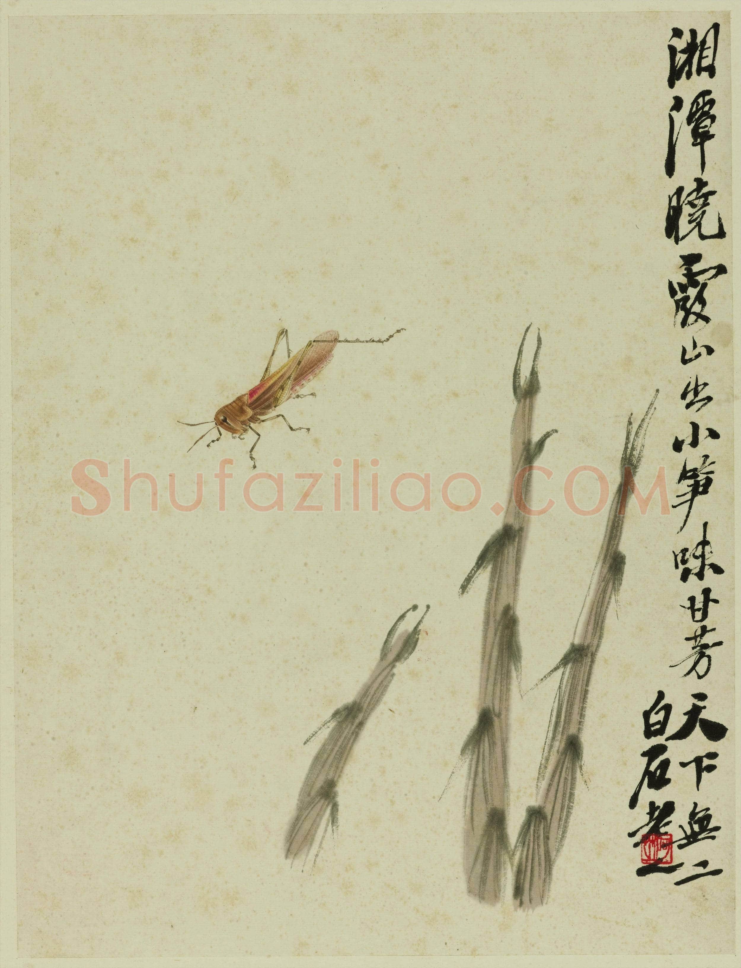 齐白石 竹笋蚂蚱