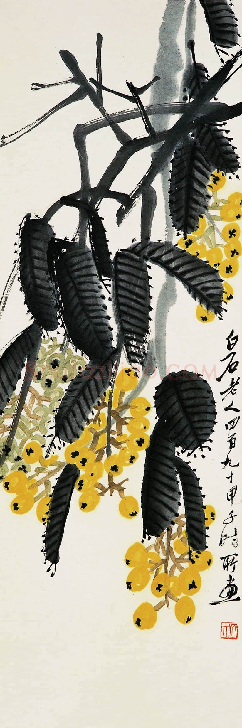 齐白石 枇杷