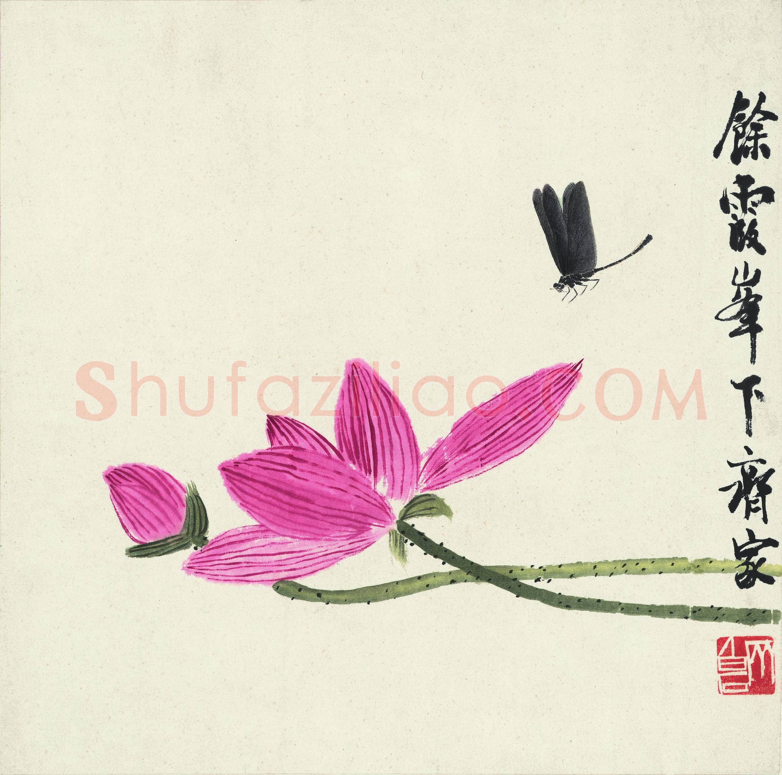 齐白石 蜻蜓荷花图 纸本 345×345