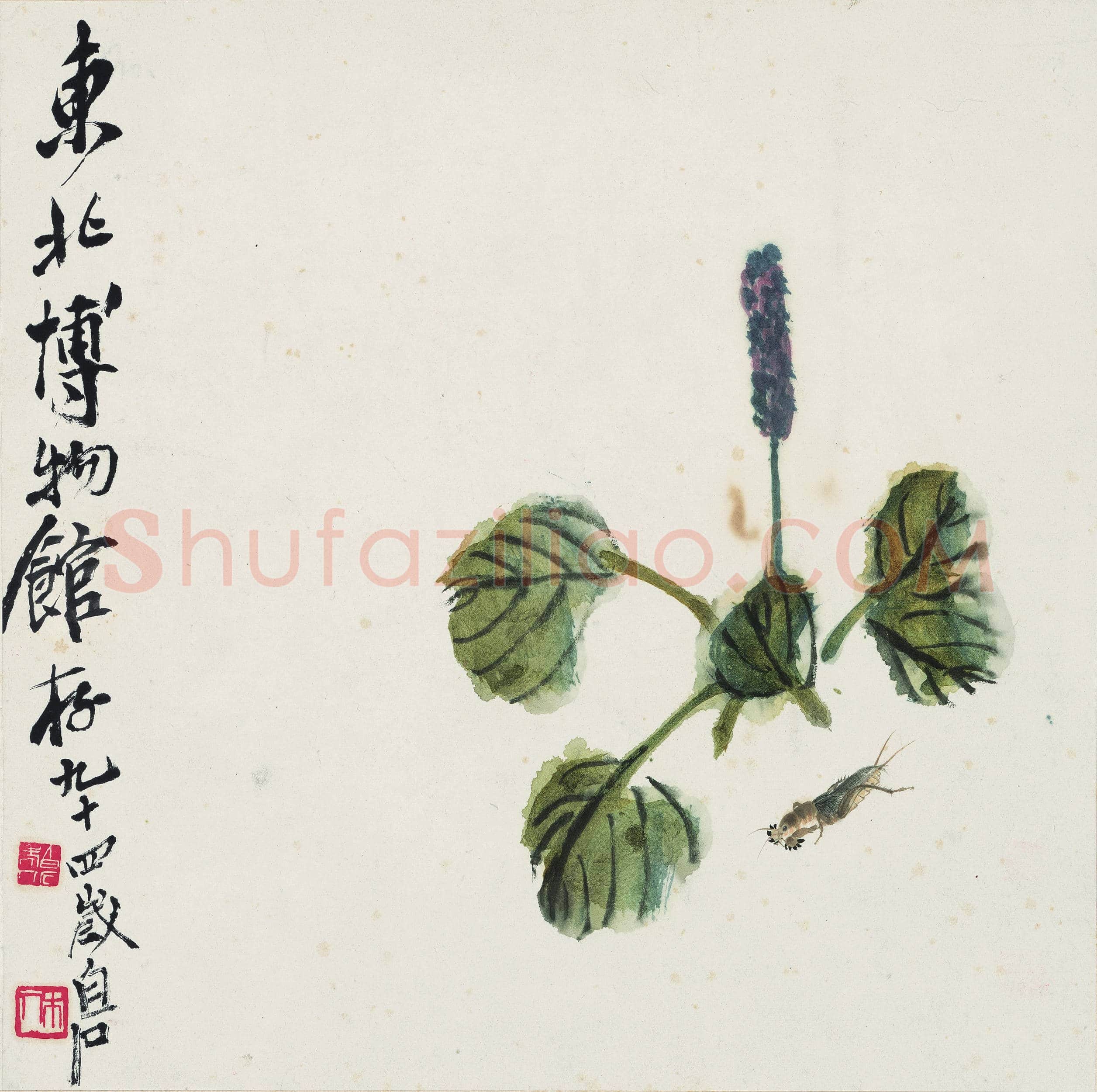 齐白石 蝼蛄红蓼图