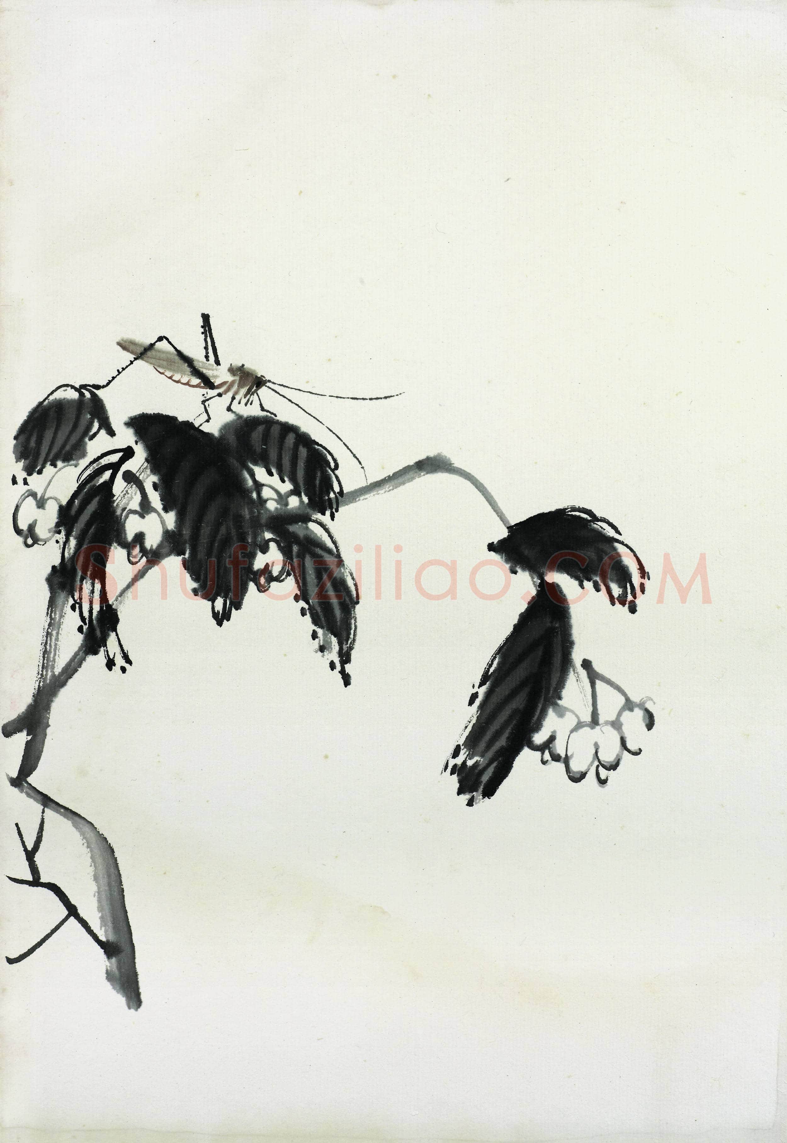 齐白石 国画作品精选-387