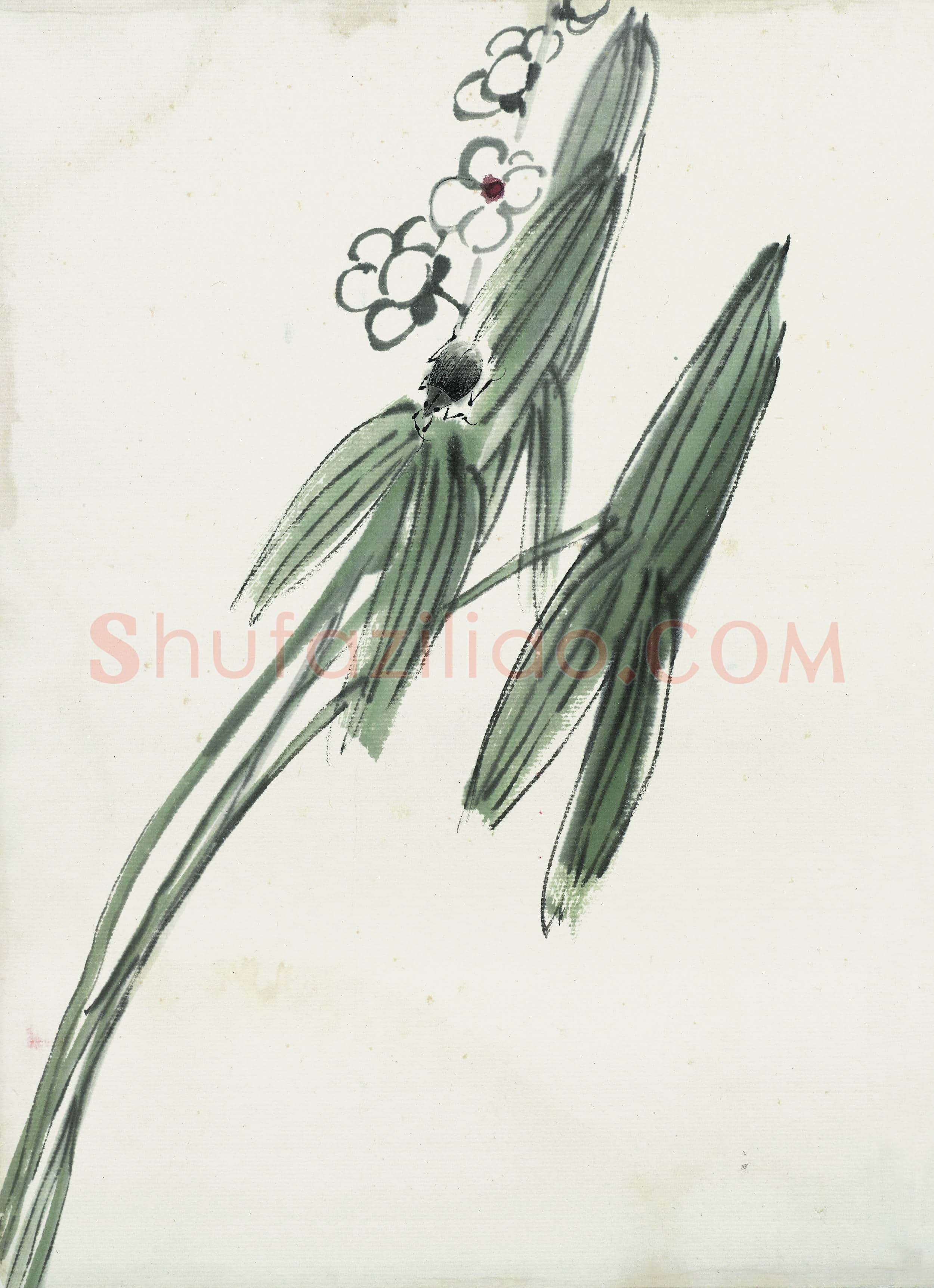齐白石 国画作品精选-389