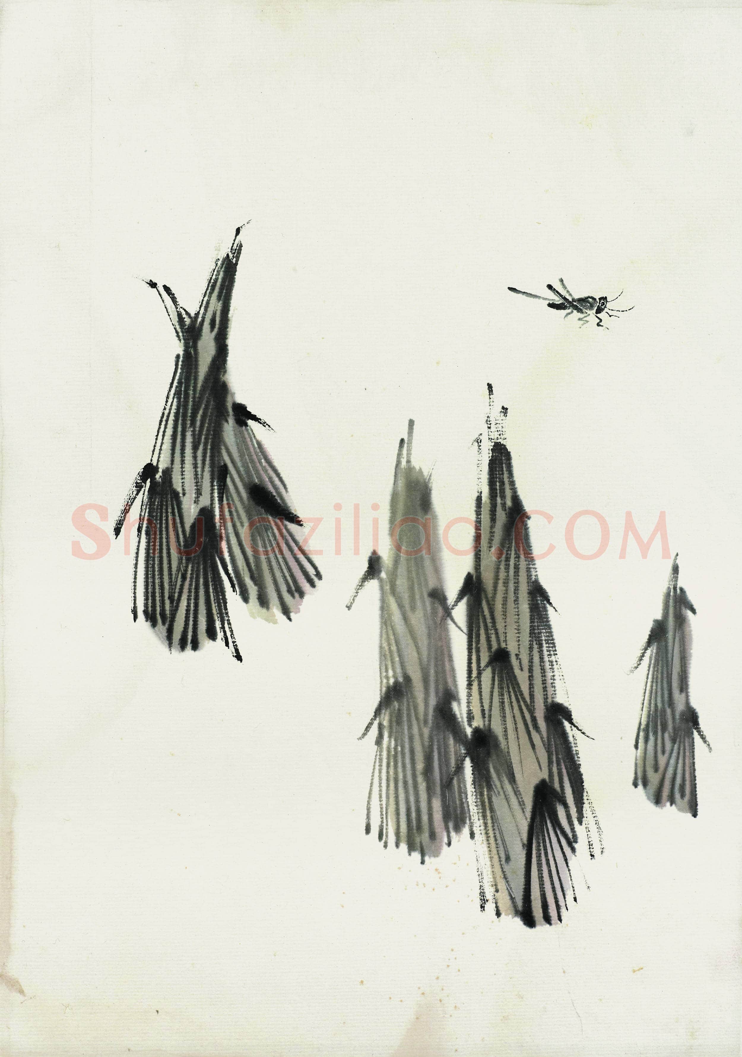 齐白石 国画作品精选-397