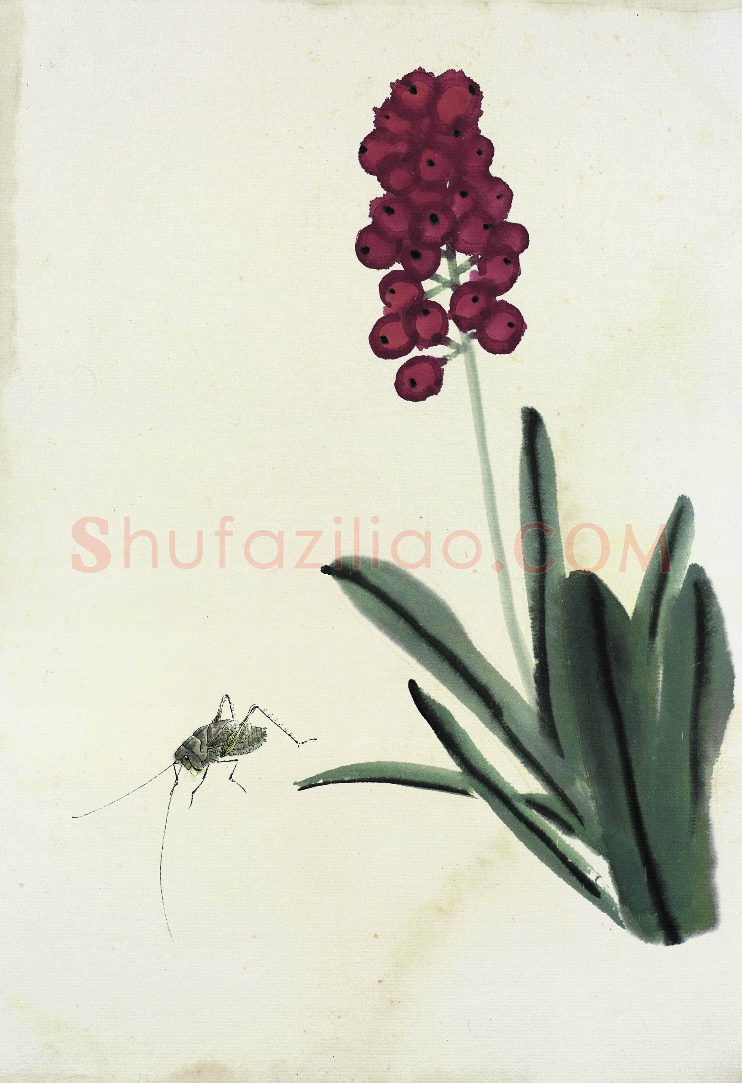 齐白石 国画作品精选-413