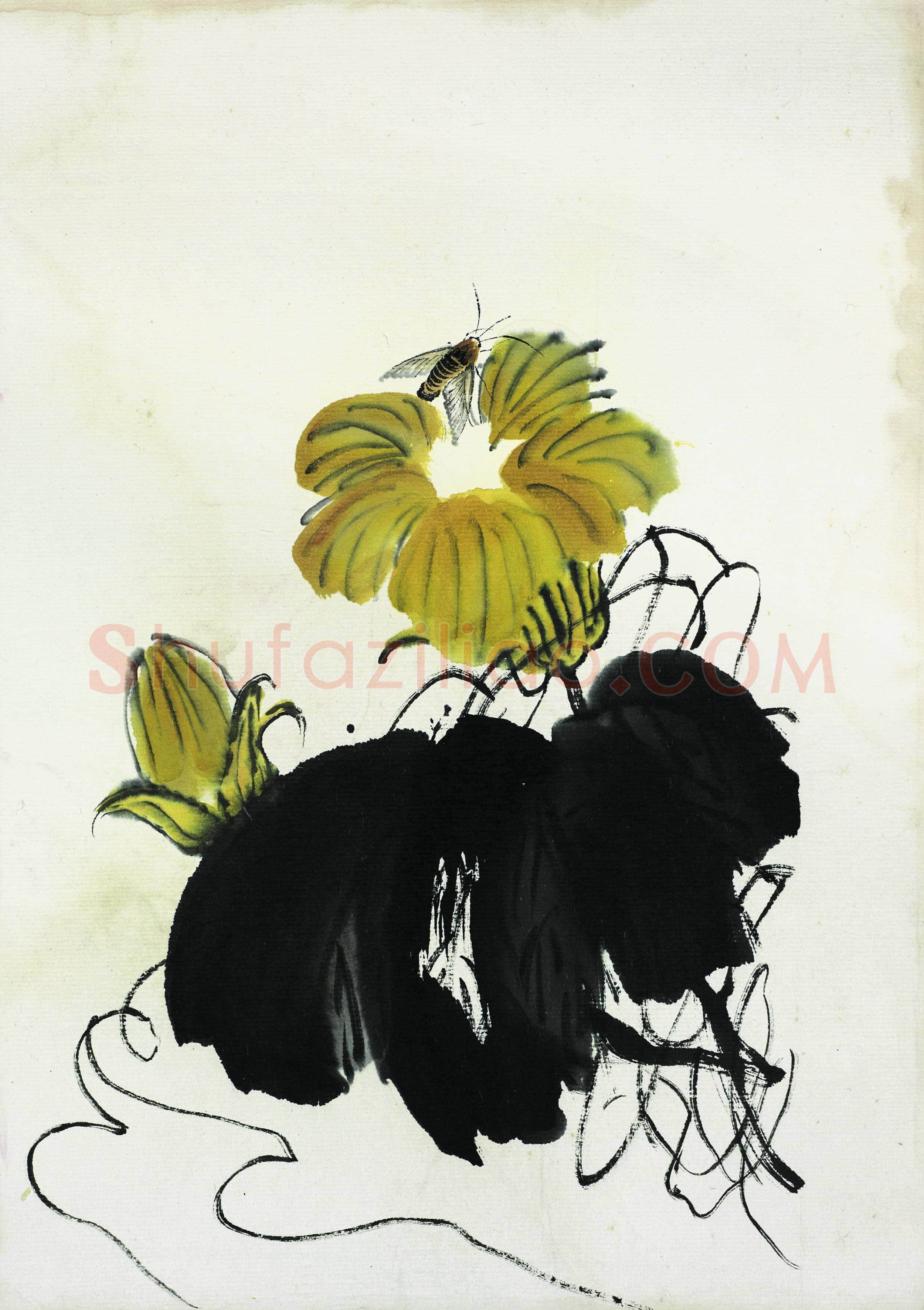 齐白石 国画作品精选-426