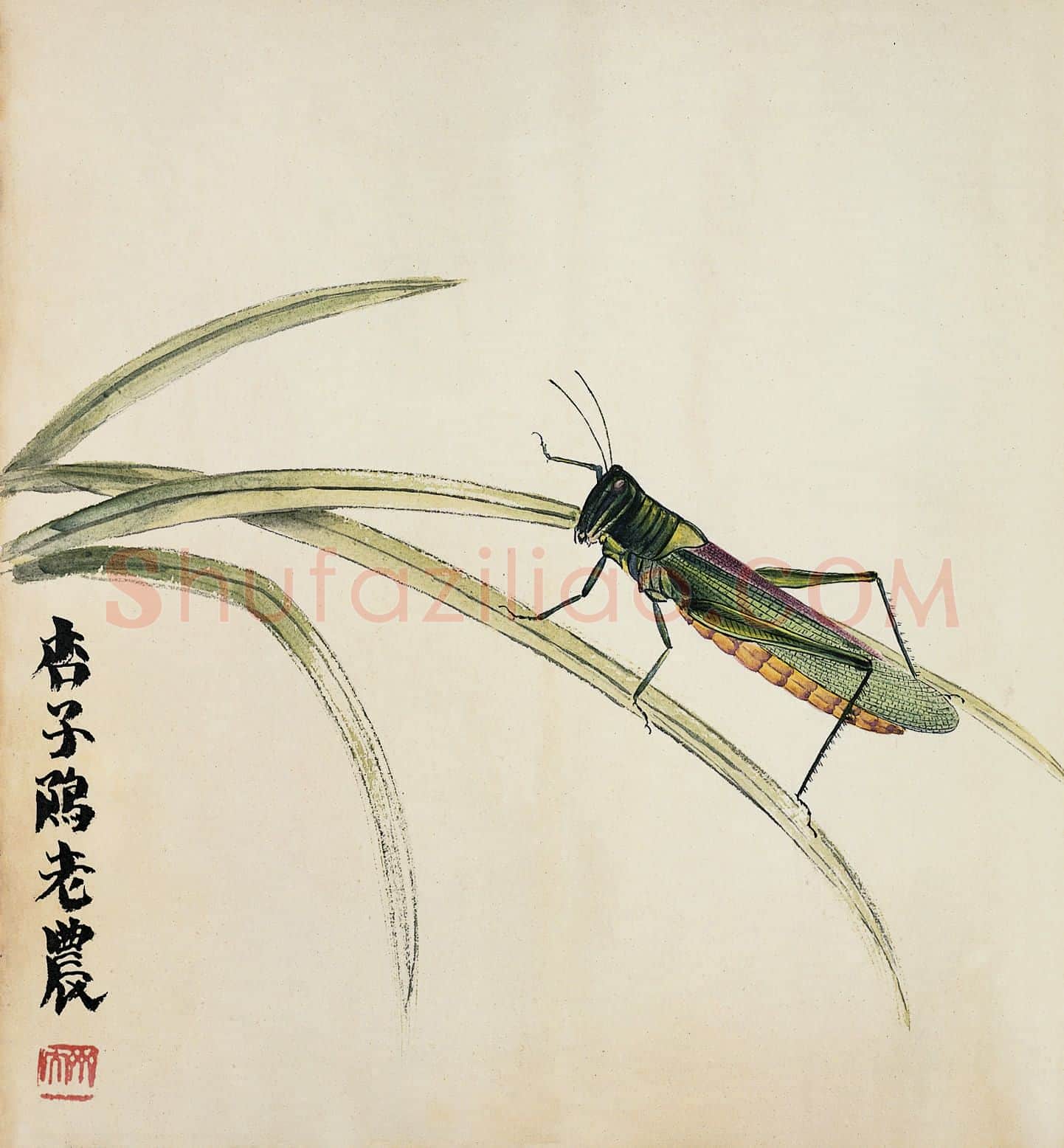 齐白石 国画作品精选-558