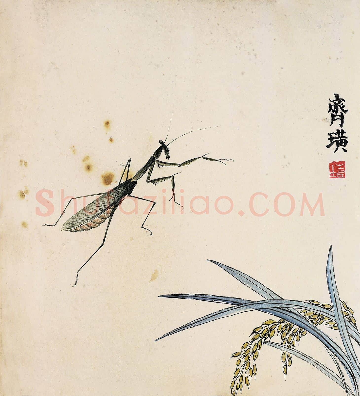 齐白石 国画作品精选-563