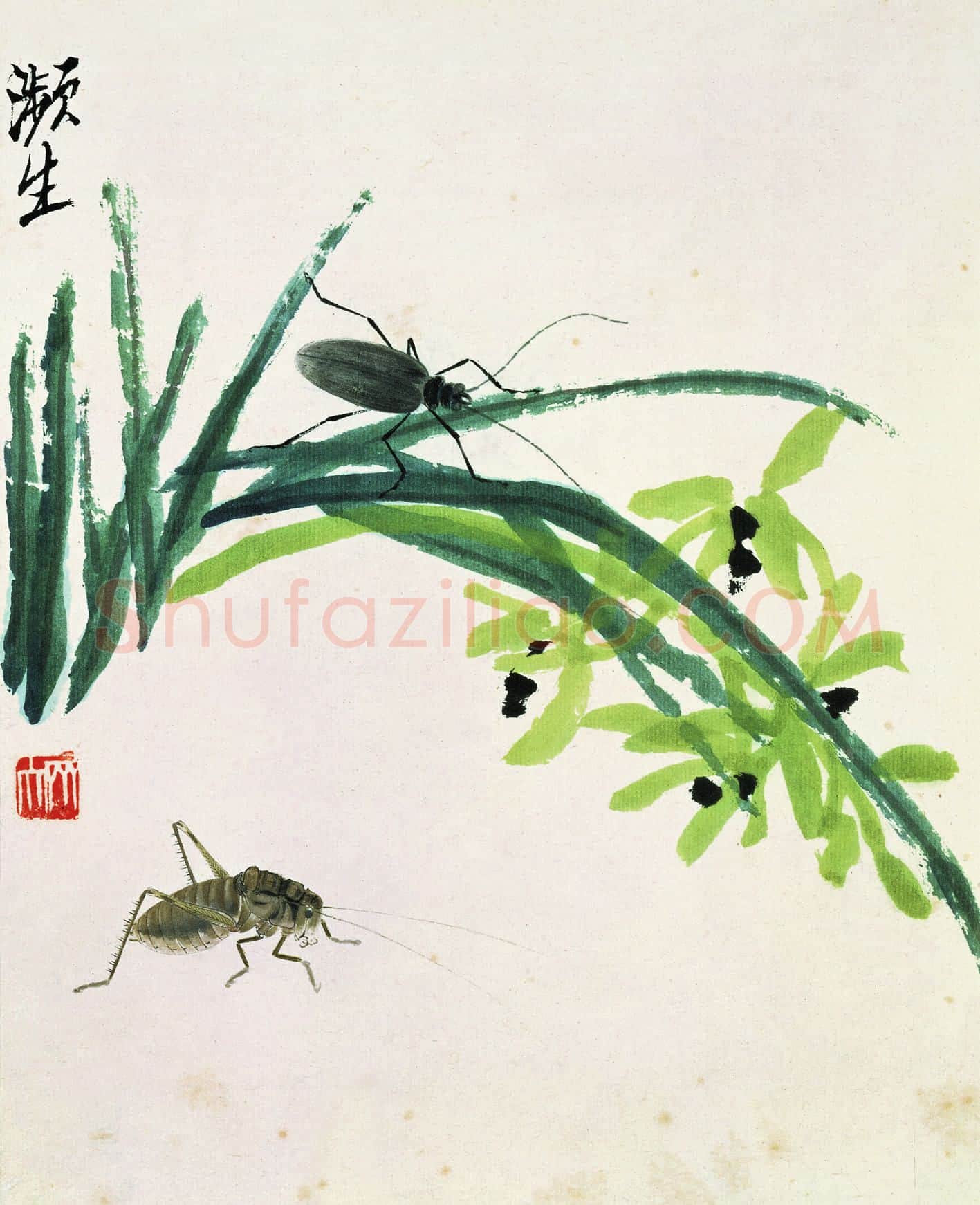 齐白石 国画作品精选-566