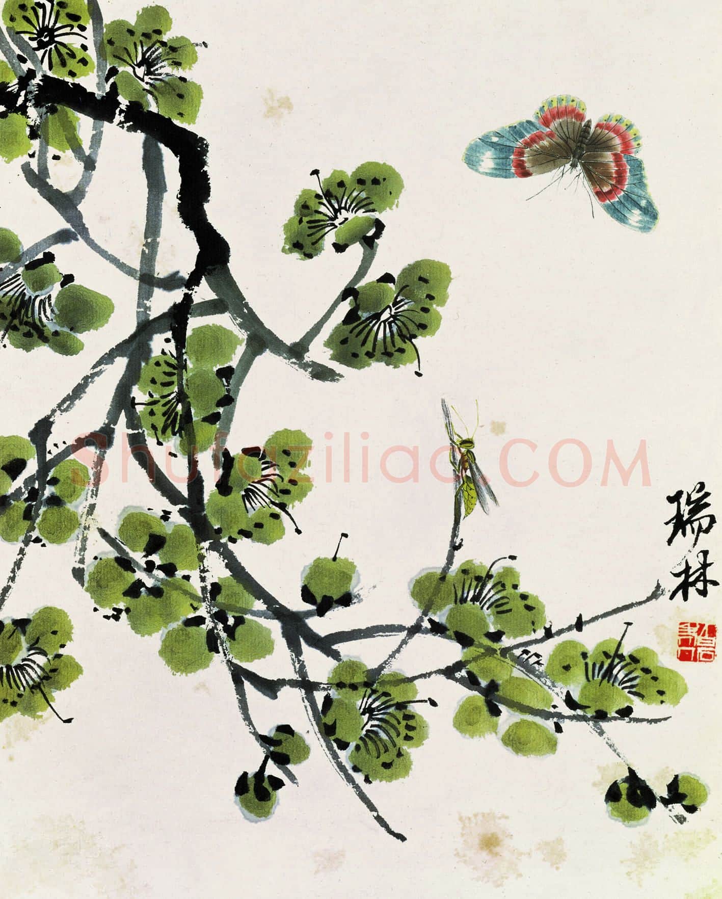 齐白石 国画作品精选-567