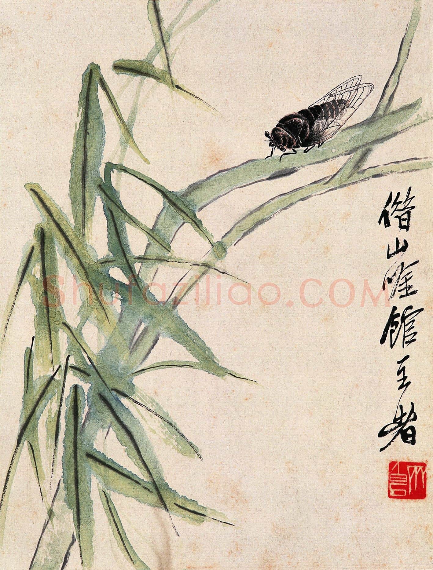 齐白石 国画作品精选-579