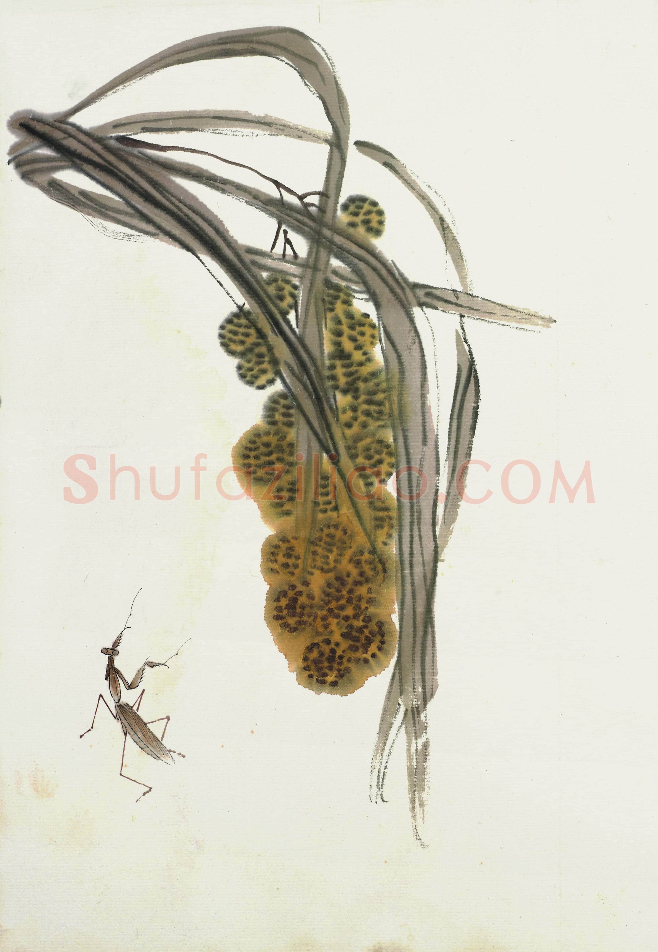齐白石 国画作品精选-634
