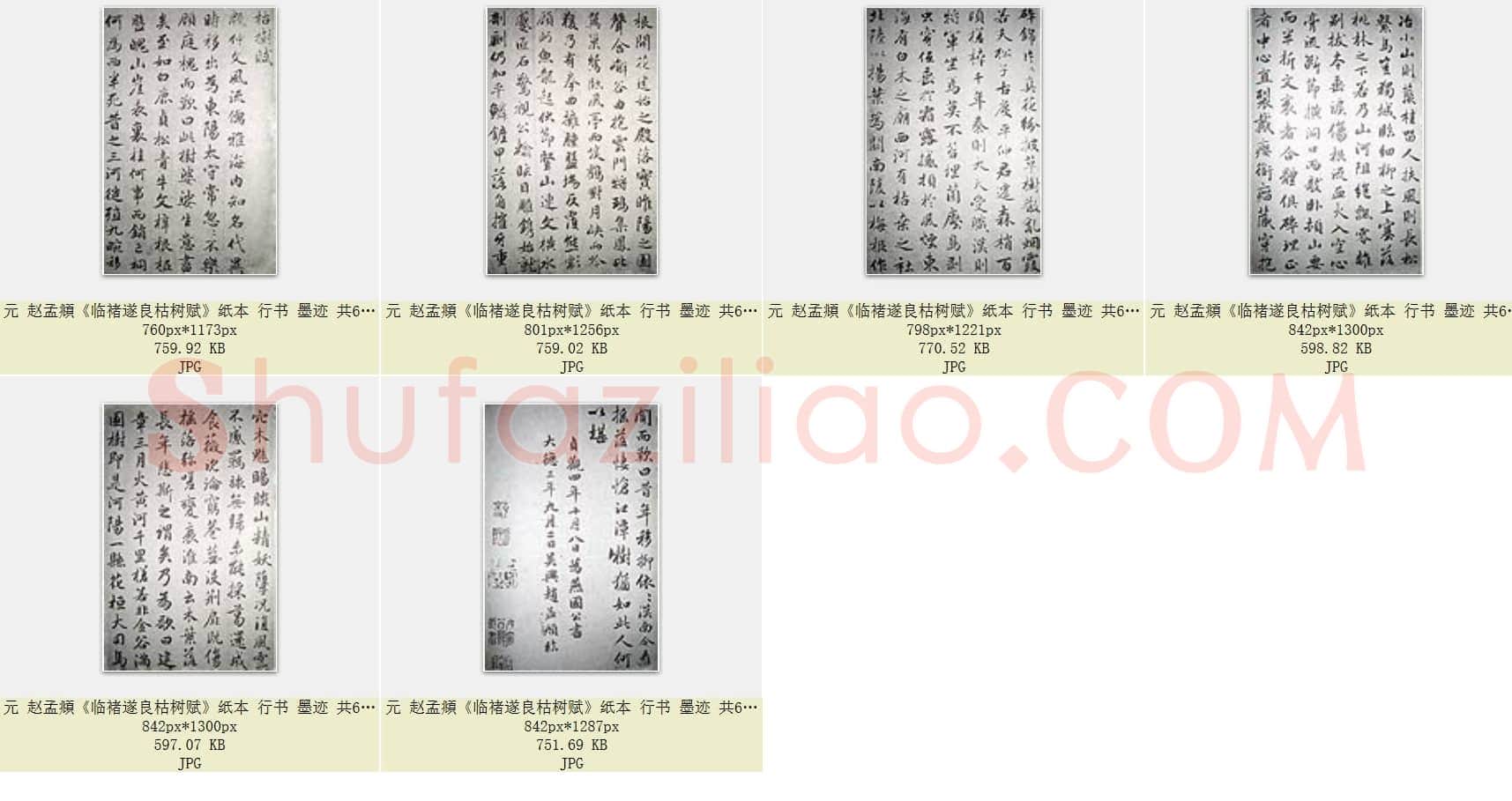 元 赵孟頫《临褚遂良枯树赋》纸本 行书 墨迹 共6页