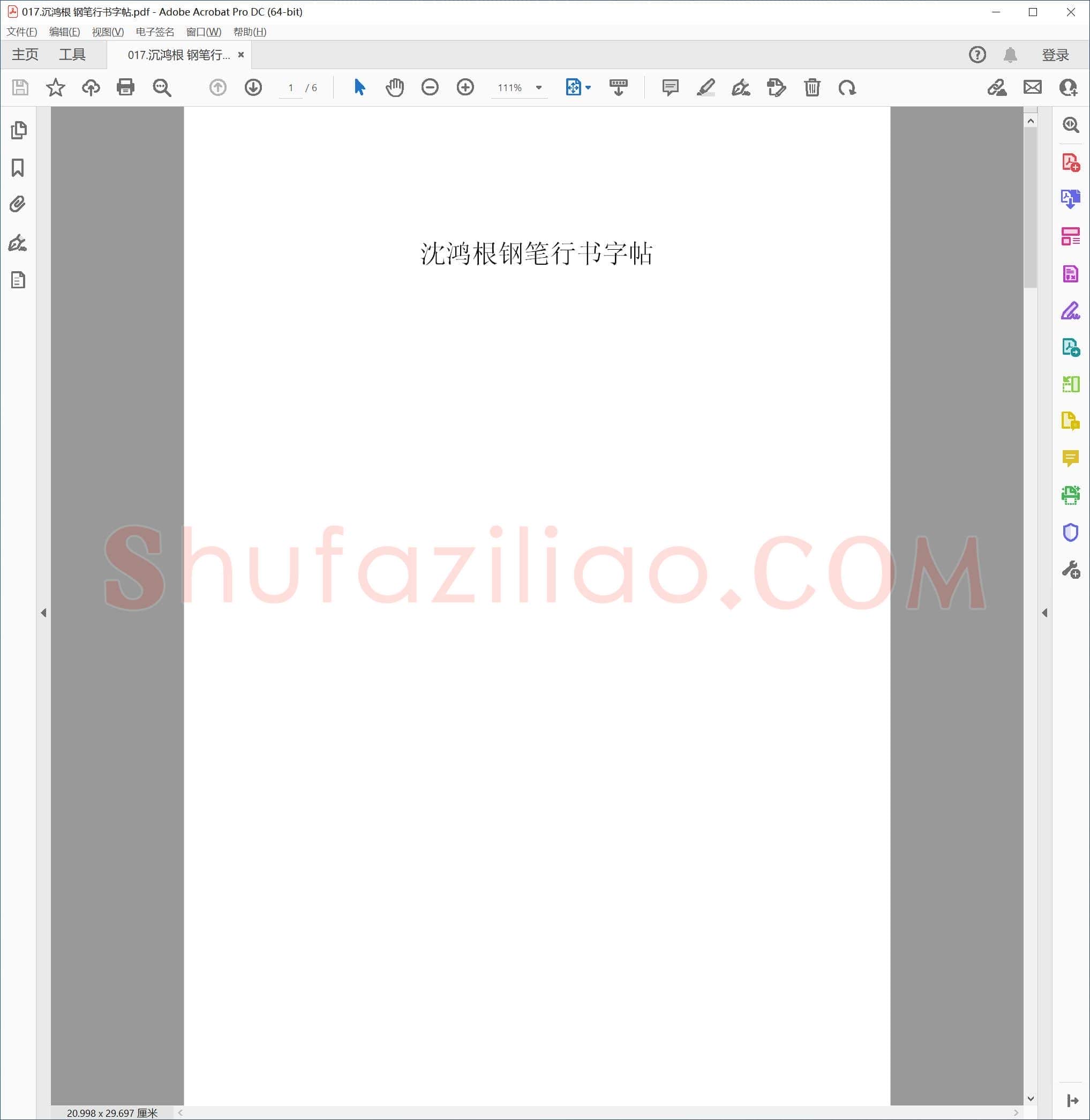 沉鸿根 钢笔行书字帖