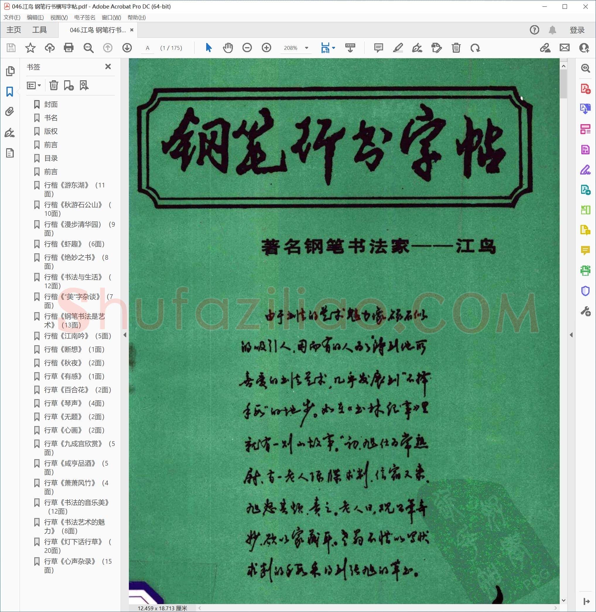 江鸟 钢笔行书横写字帖
