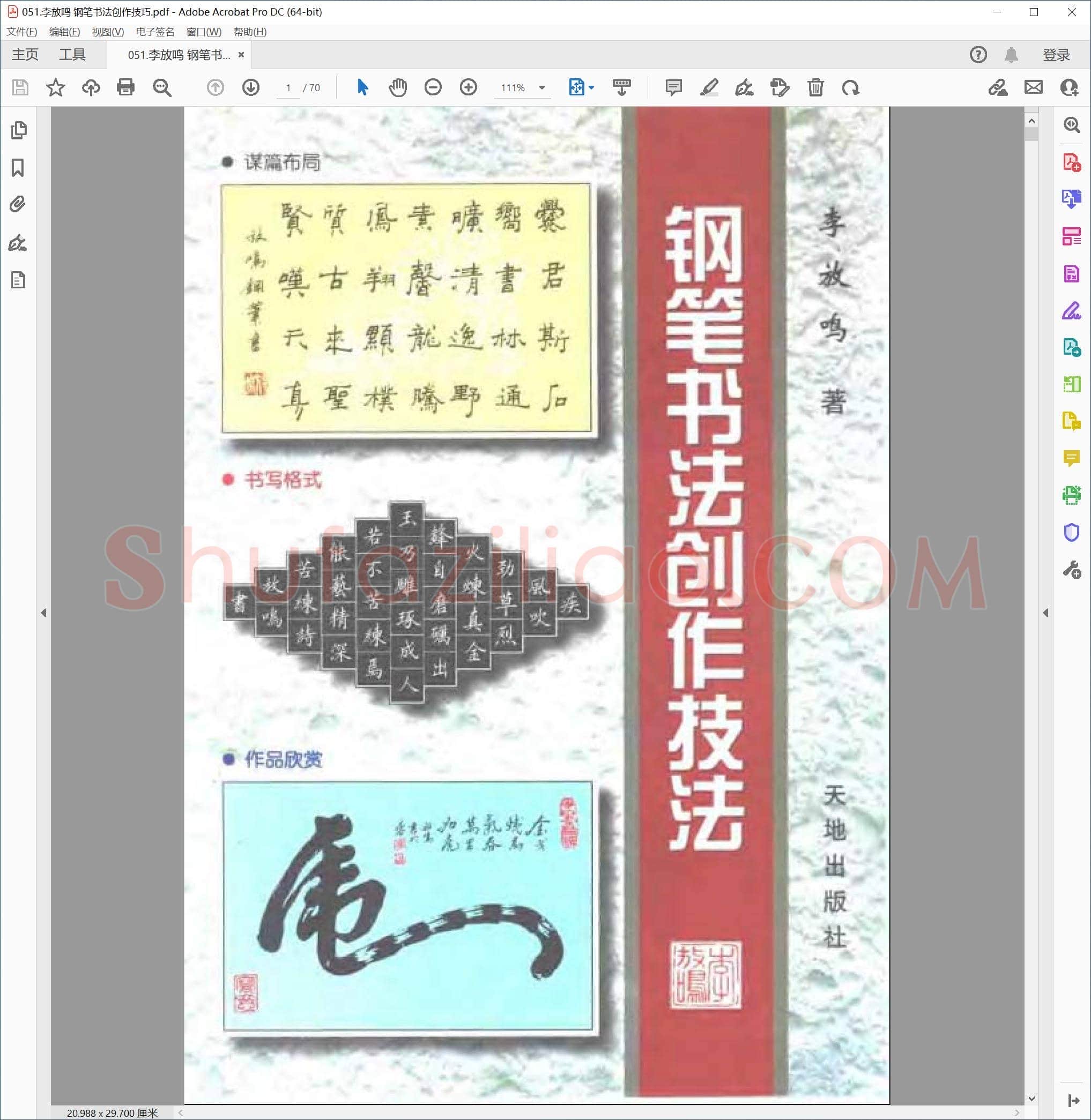 李放鸣 钢笔书法创作技巧