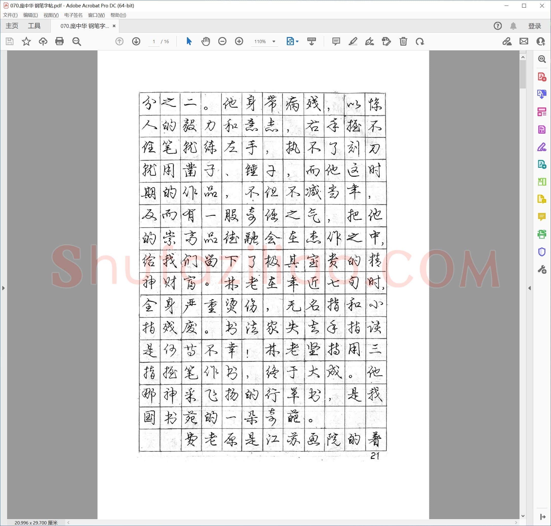 庞中华 钢笔字帖
