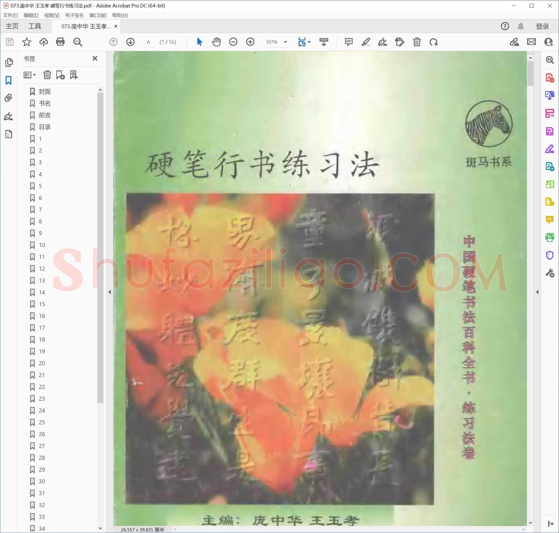 庞中华 王玉孝 硬笔行书练习法