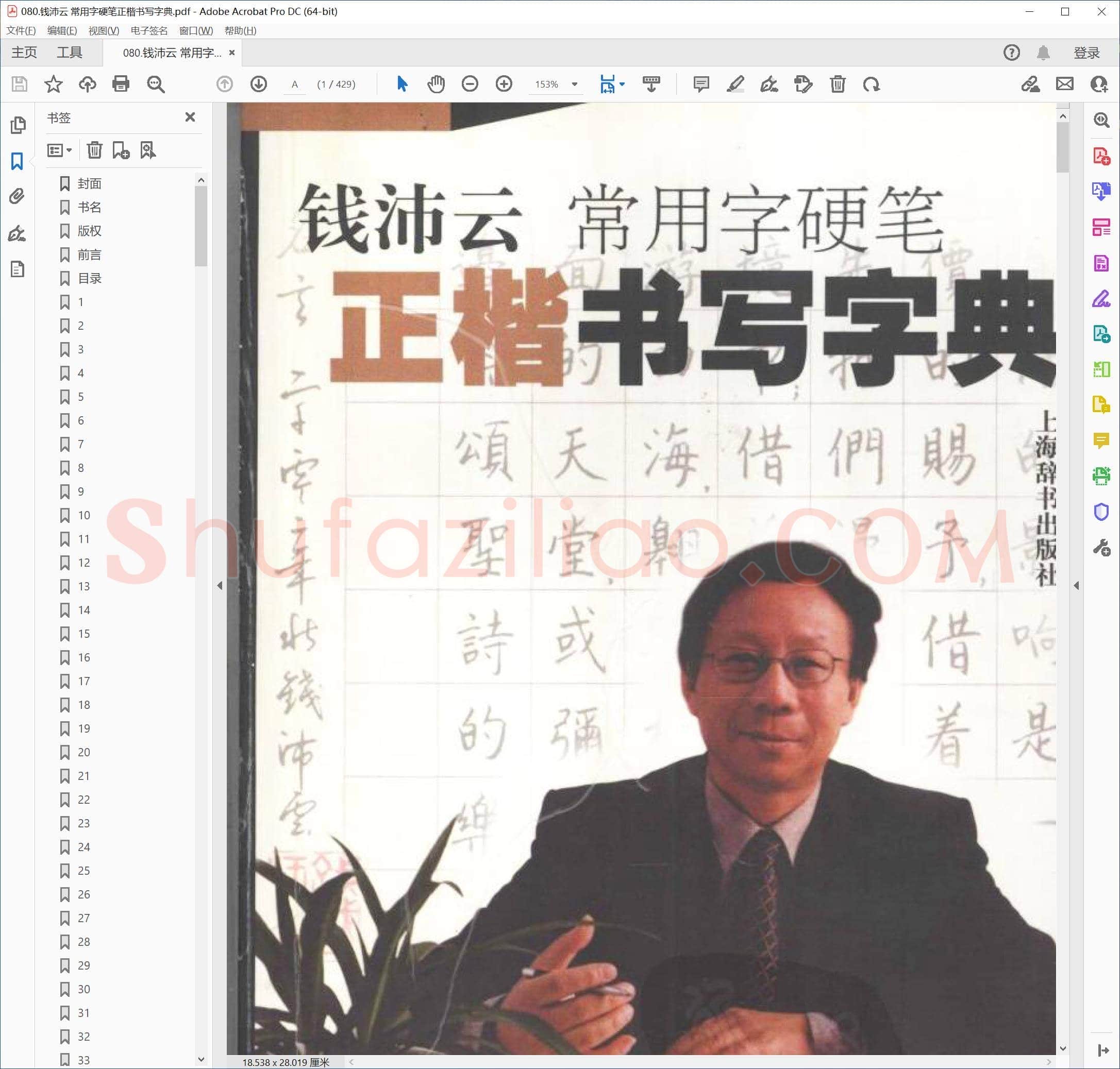 钱沛云 常用字硬笔正楷书写字典