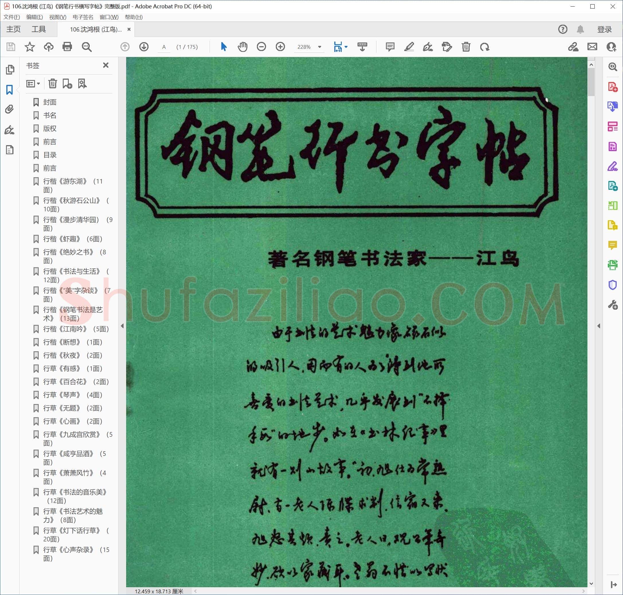 沈鸿根 (江鸟)《钢笔行书横写字帖》完整版