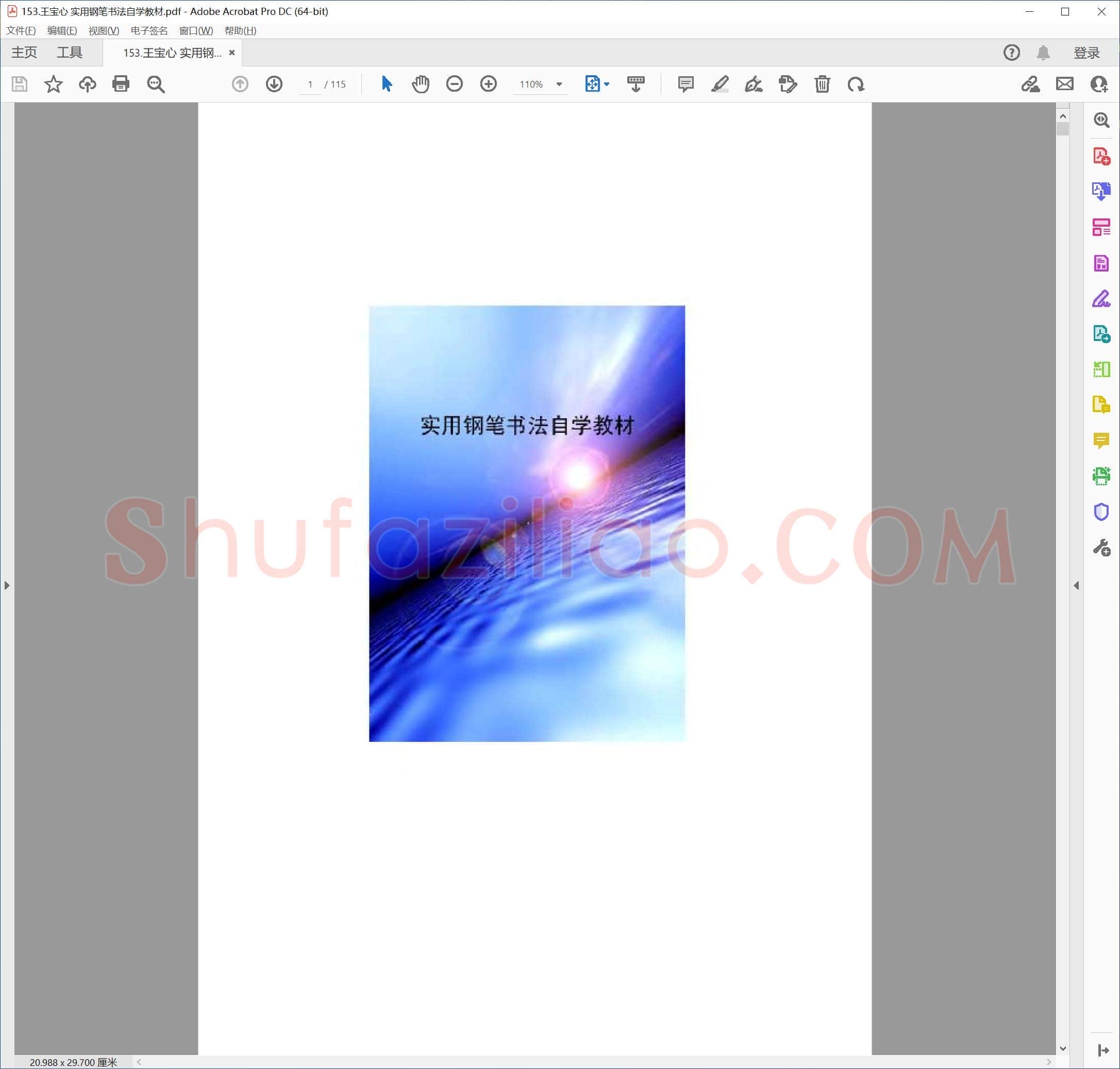王宝心 实用钢笔书法自学教材