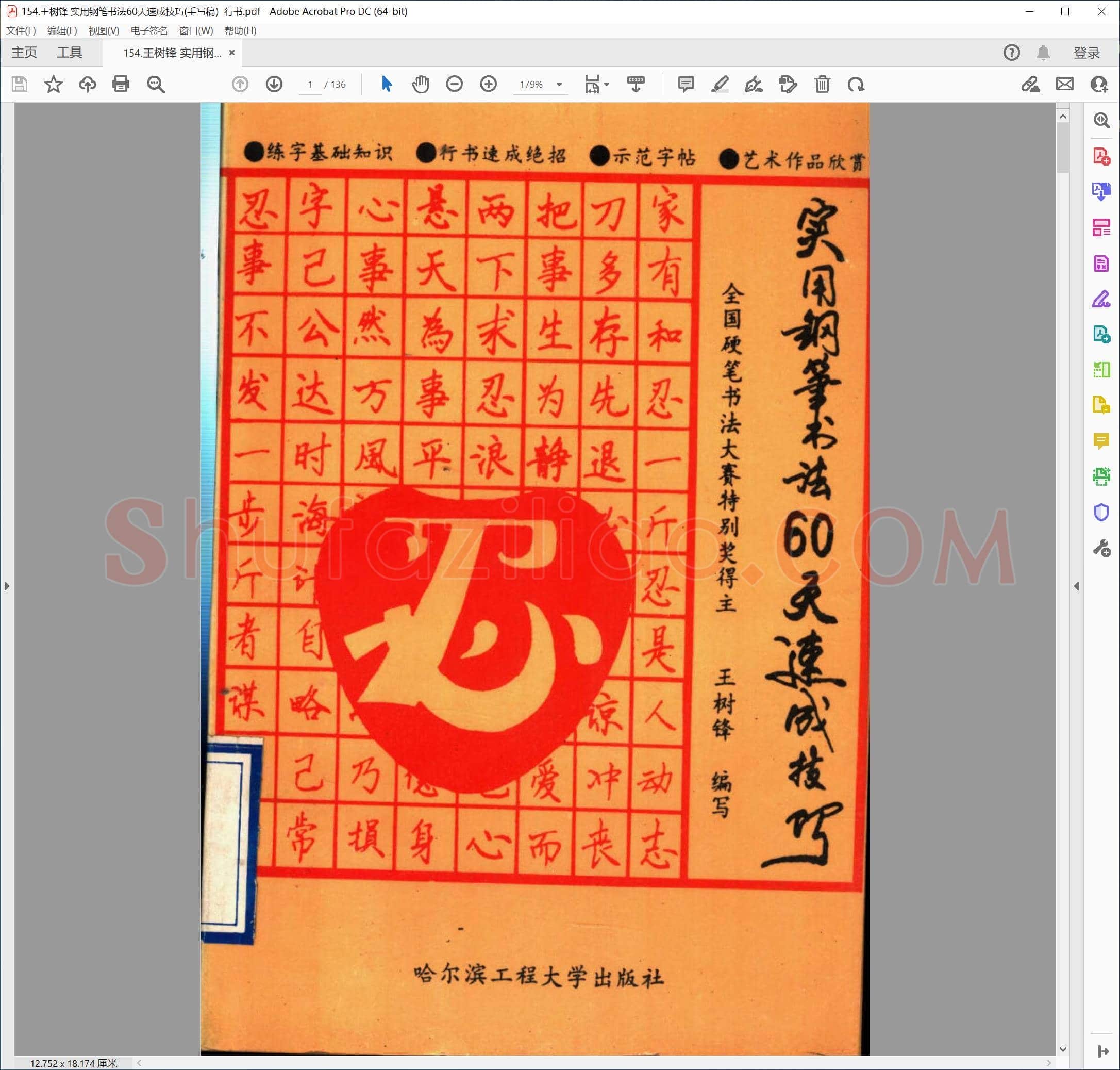 王树锋 实用钢笔书法60天速成技巧(手写稿）行书