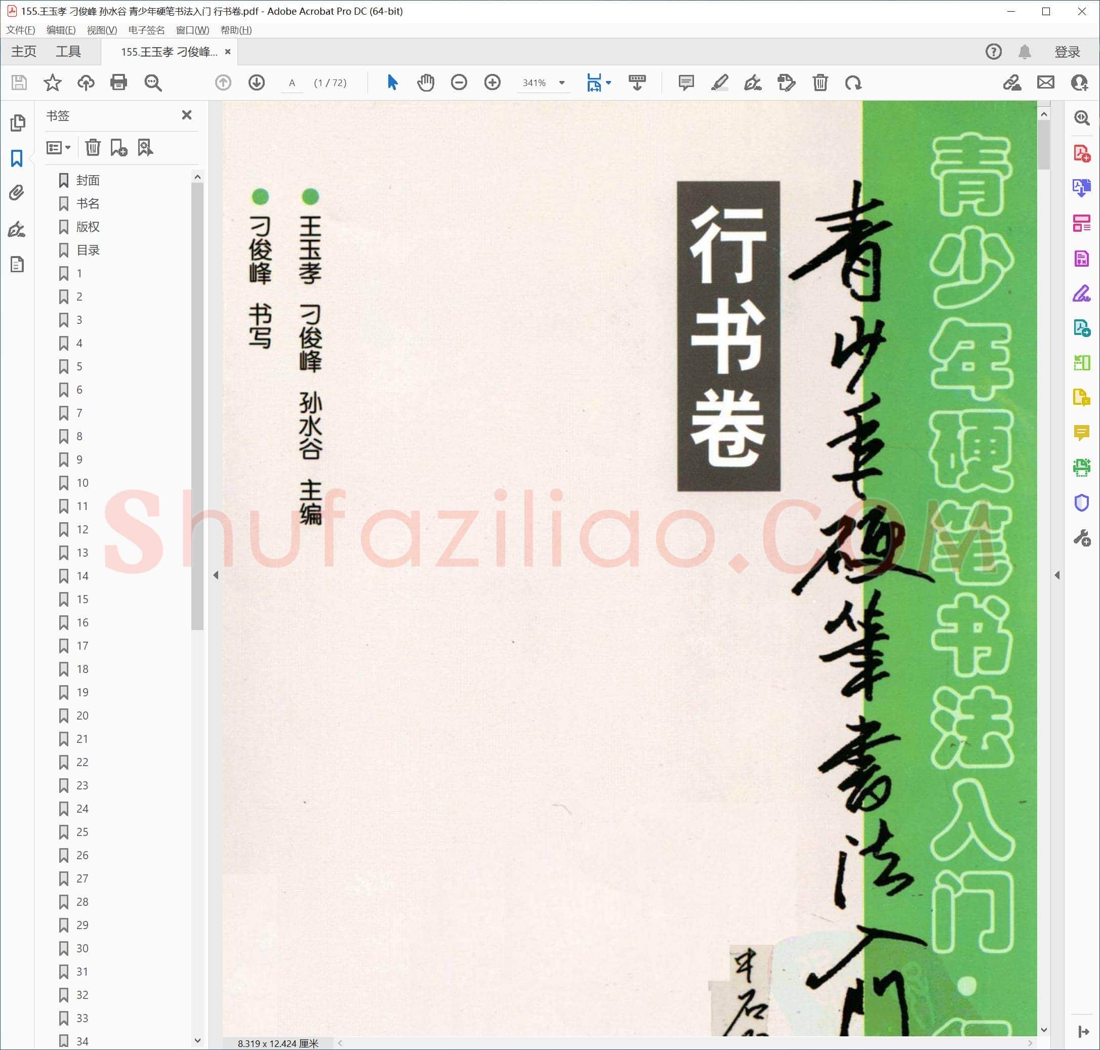 王玉孝 刁俊峰 孙水谷 青少年硬笔书法入门 行书卷