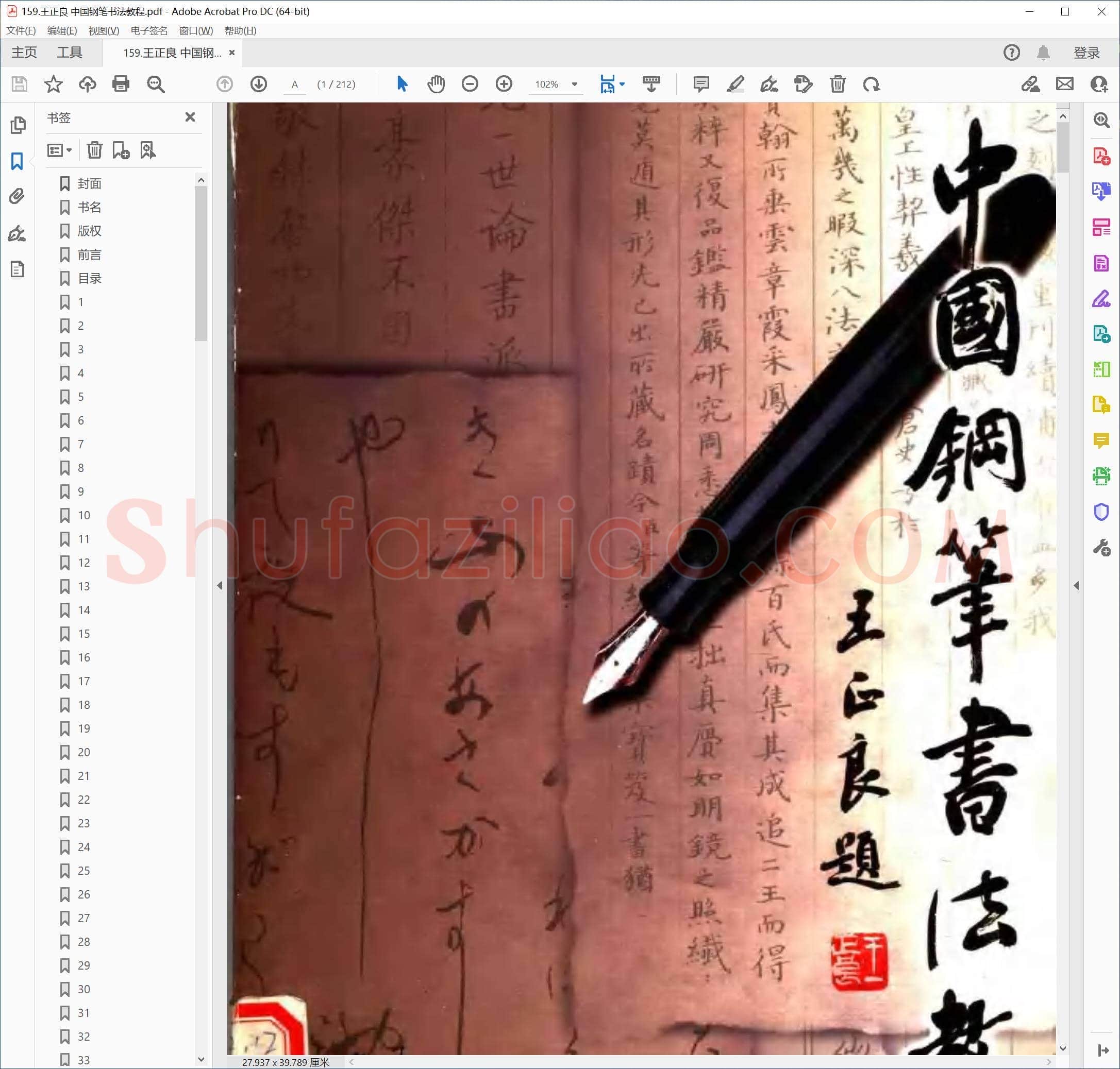 王正良 中国钢笔书法教程