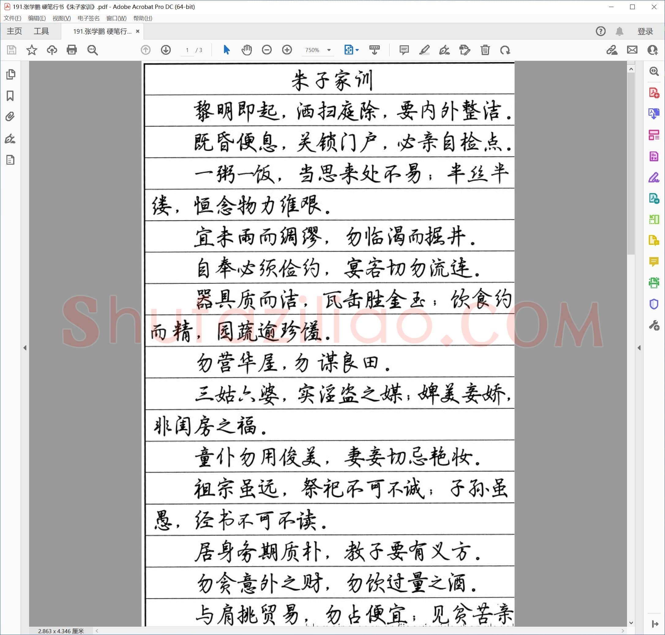 张学鹏 硬笔行书《朱子家训》