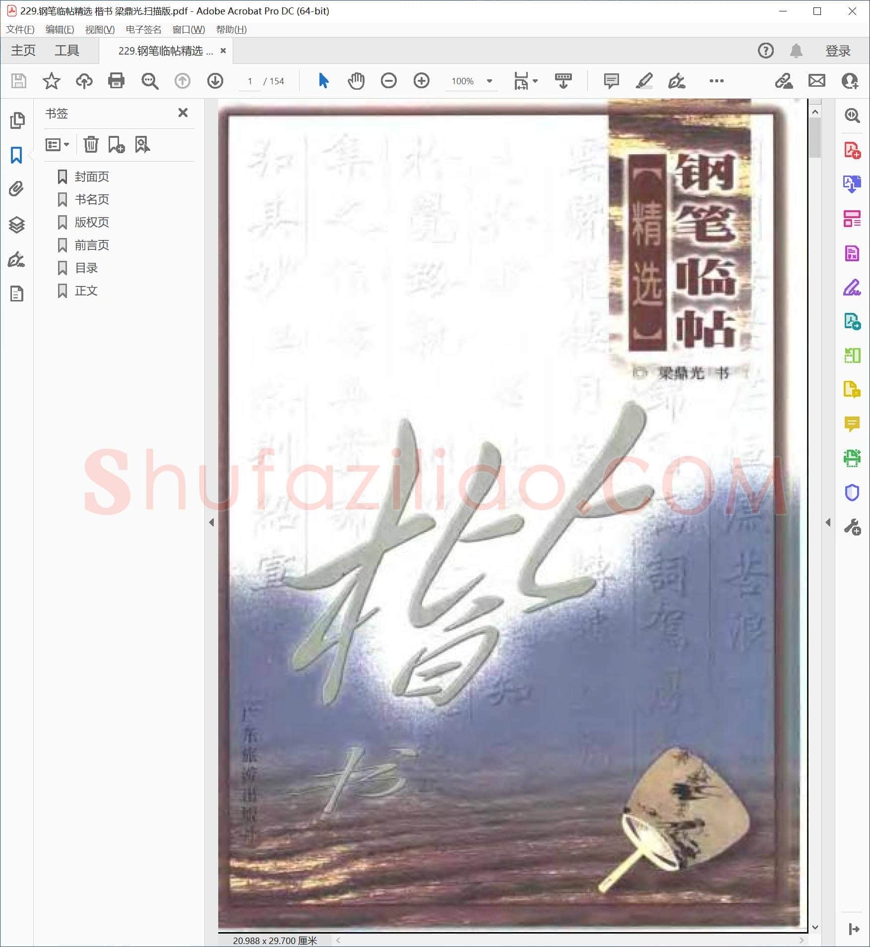 梁鼎光 钢笔临帖精选 楷书