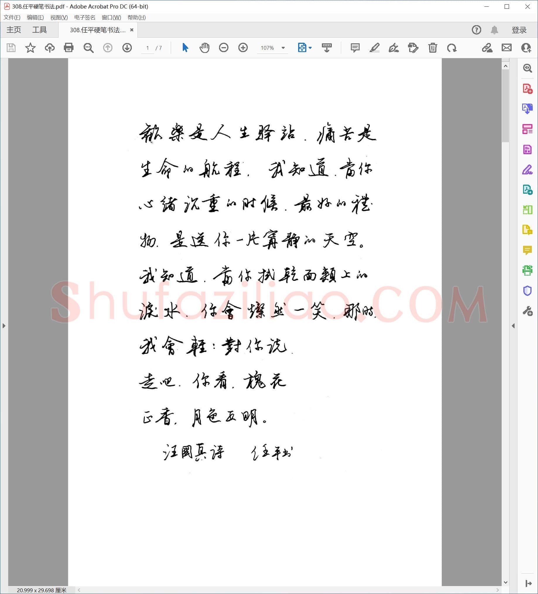 任平 硬笔书法