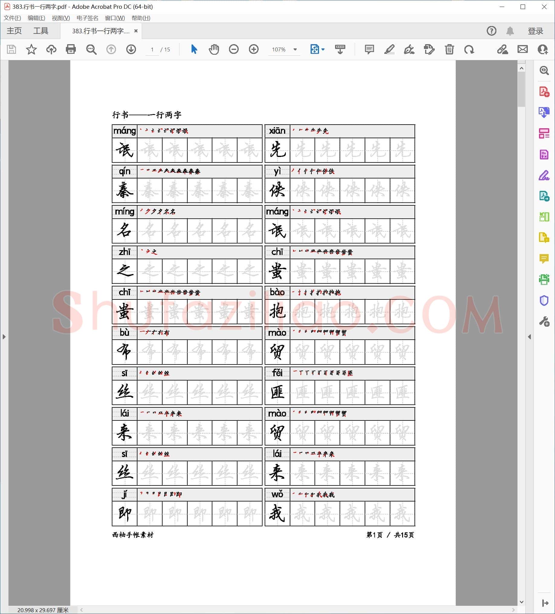 佚名 硬笔行书 一行两字