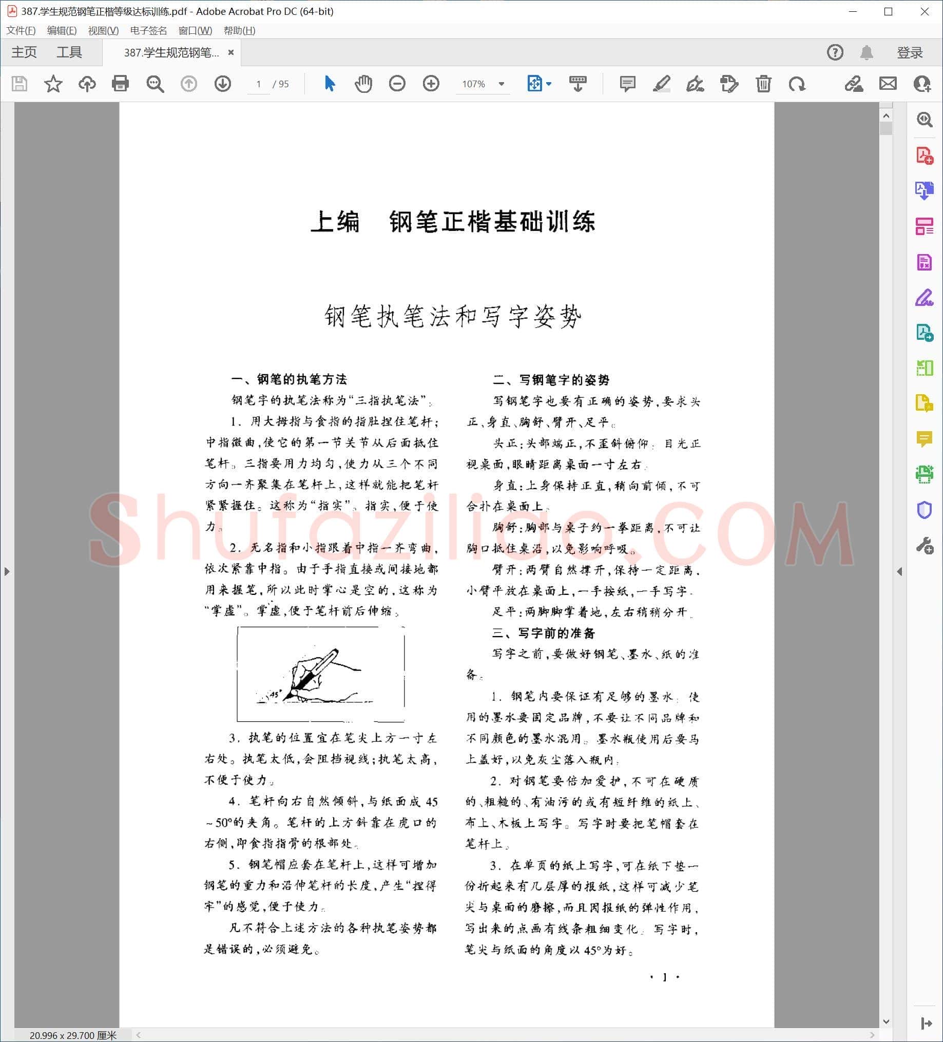 顾仲安 学生规范钢笔正楷等级达标训练
