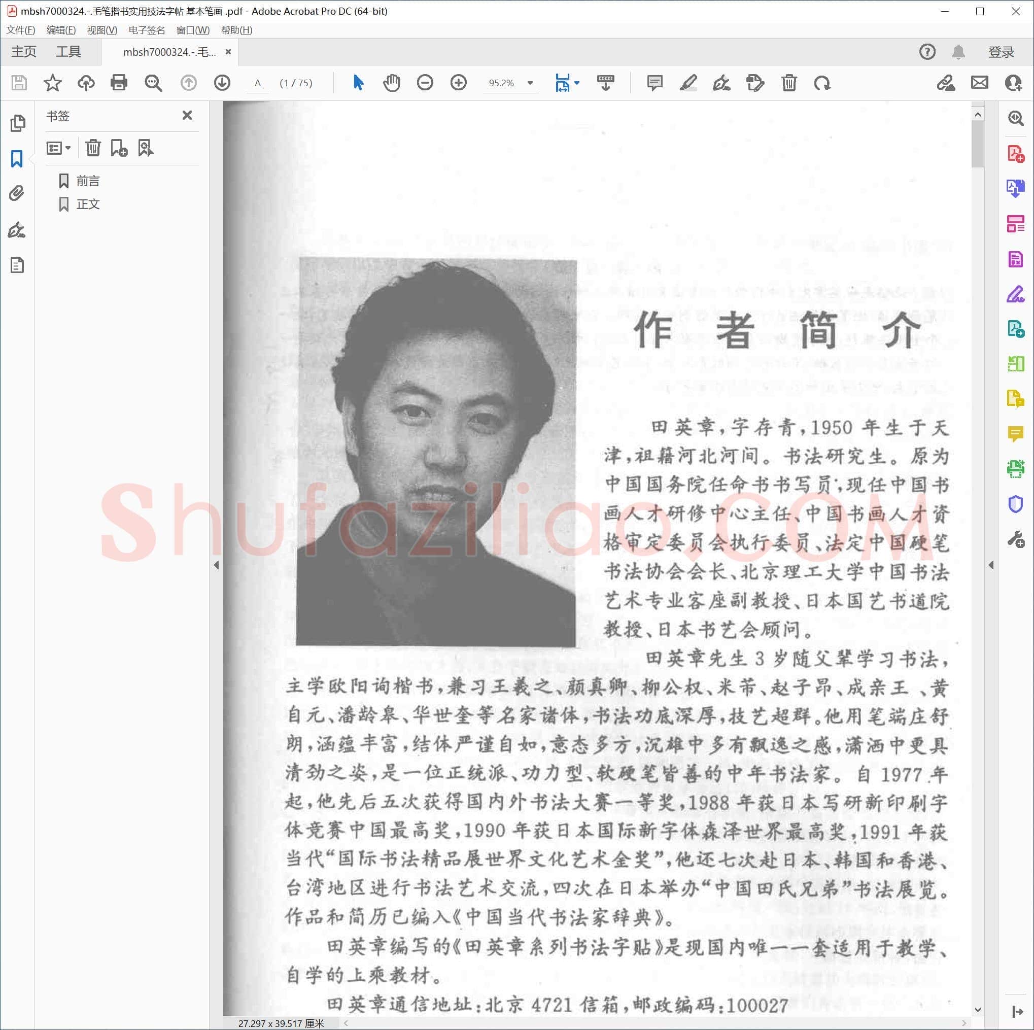 毛笔揩书实用技法字帖 基本笔画