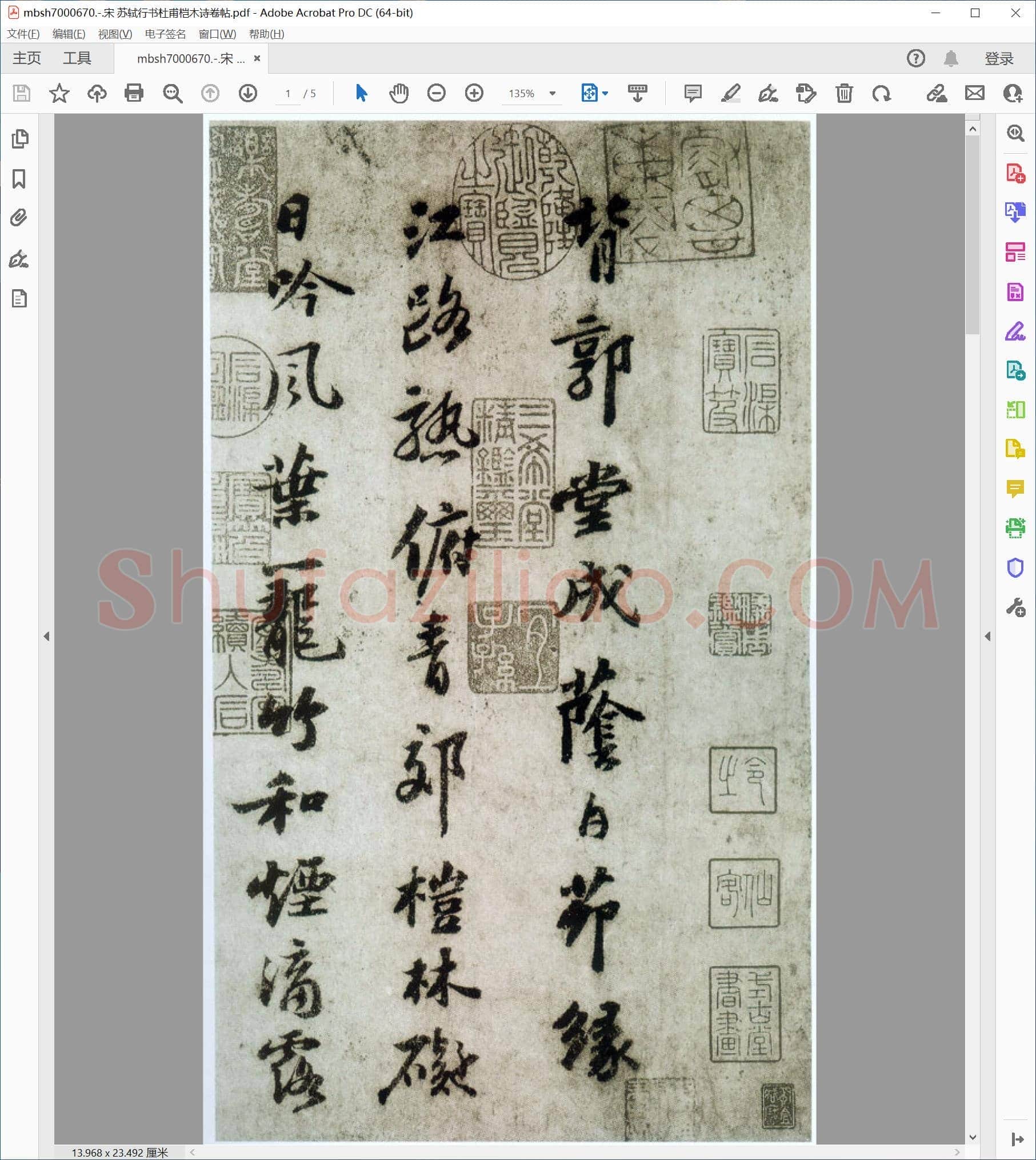 宋 苏轼行书杜甫桤木诗卷帖
