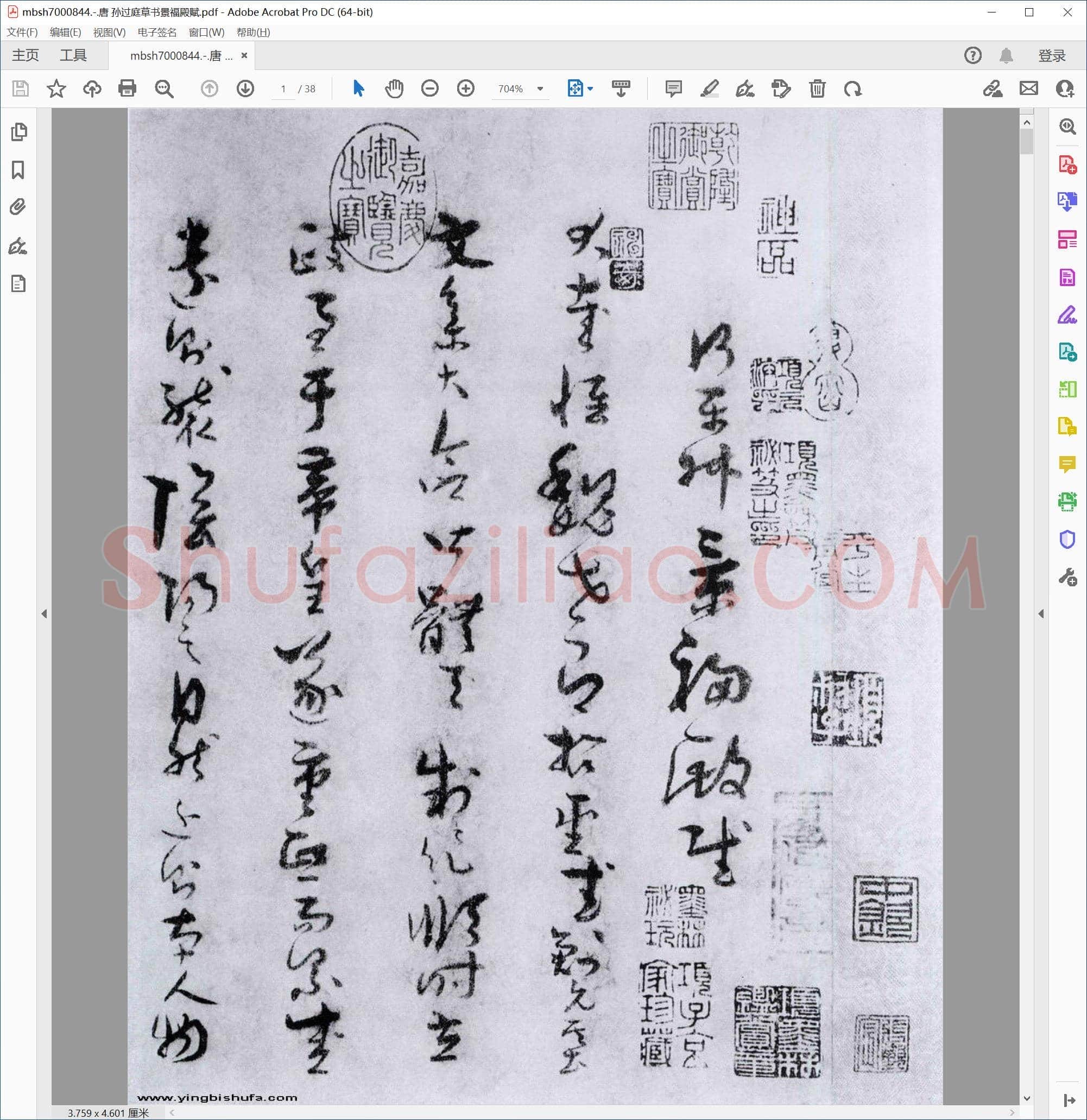 唐 孙过庭草书景福殿赋