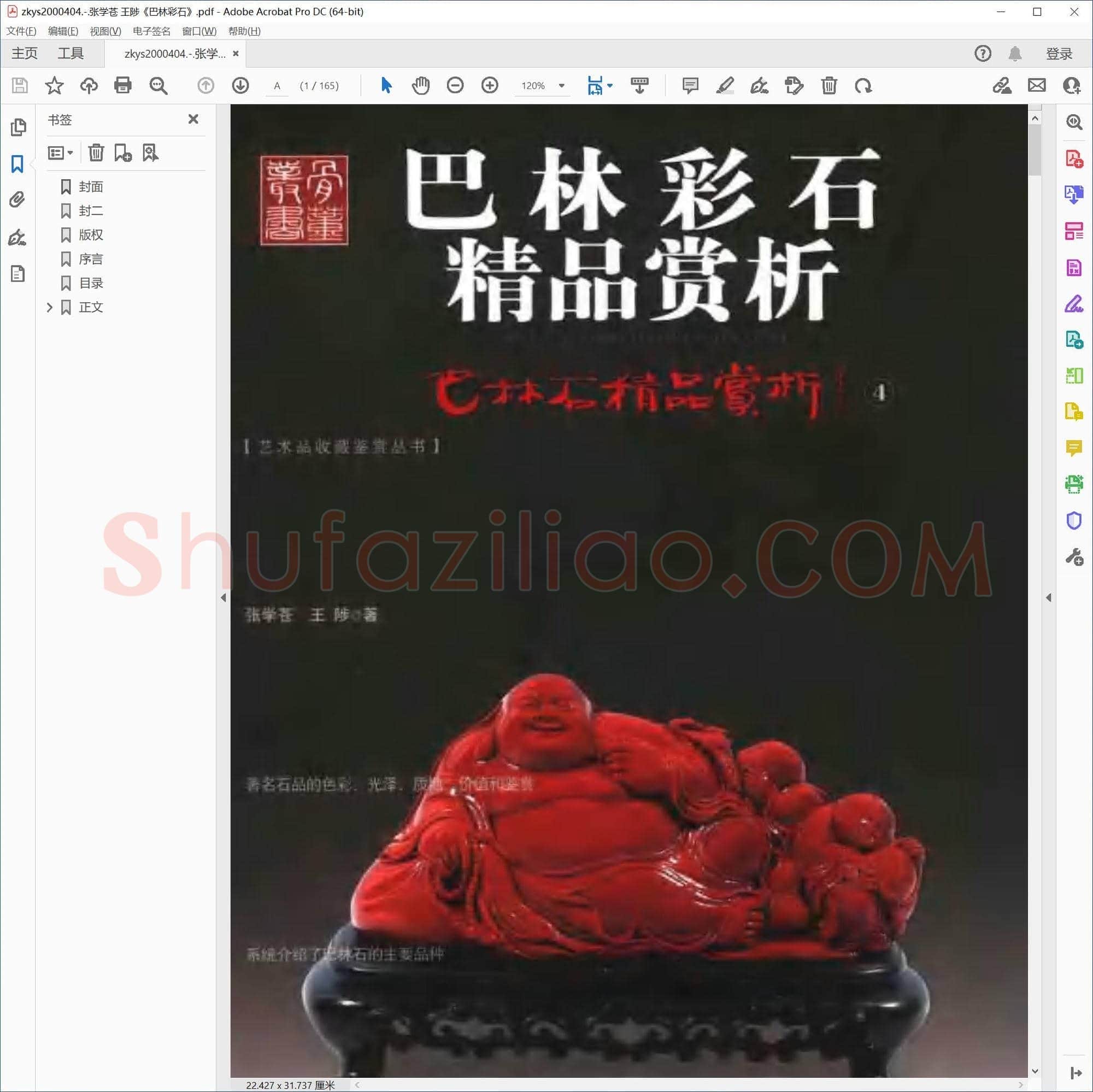 张学苍 王陟巴林彩石