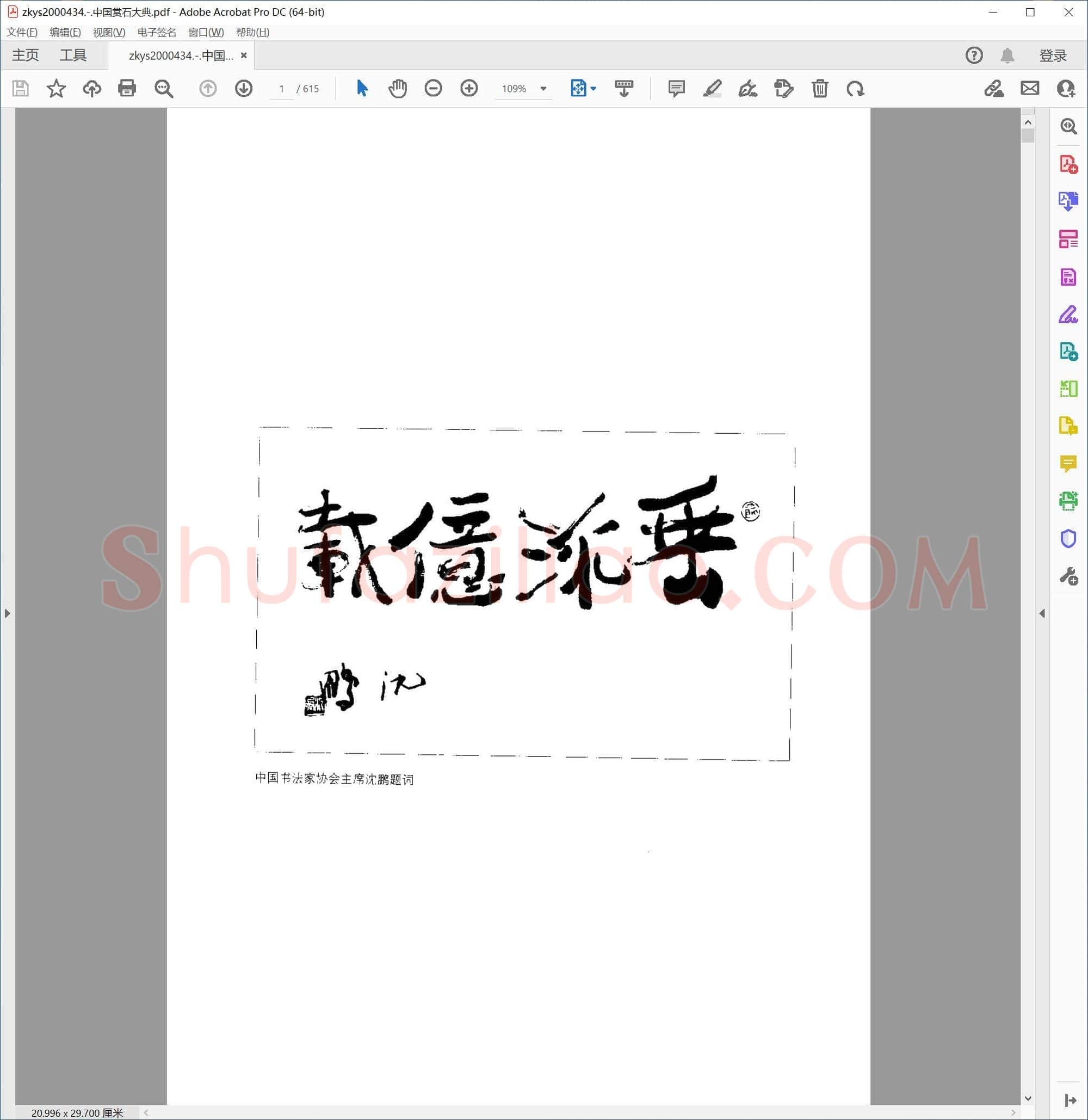 中国赏石大典