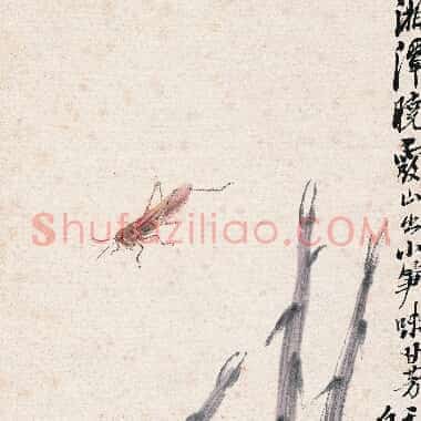 近现代齐白石国画《竹笋蚂蚱.TIF》高清大图资源下载