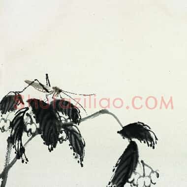 近现代齐白石《国画作品精选-387.TIF》高清大图资源下载