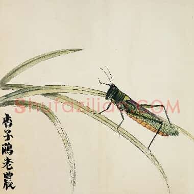 近现代齐白石《国画作品精选-558.TIF》高清大图资源下载