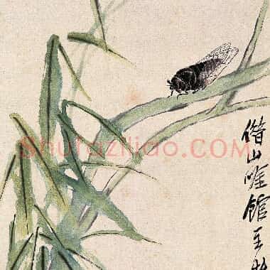 近现代齐白石《国画作品精选-579.TIF》高清大图资源下载