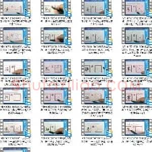 小学5年级 上册 同步课堂 生字 硬笔书法教学视频合集 共21集