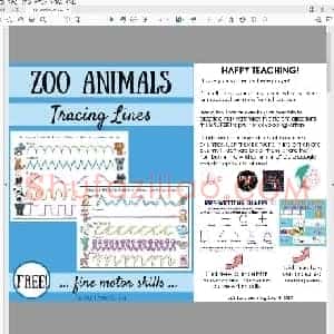 儿童硬笔运笔连线训练 初次启蒙书写练习Zoo Animals Tracing Lines