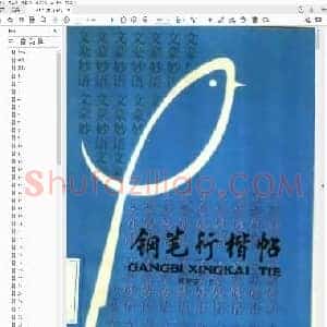 顾仲安 钢笔行楷帖 罗兰小语 名人名言.pdf