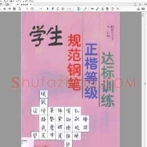 顾仲安 学生规范钢笔正楷等级达标训练.pdf