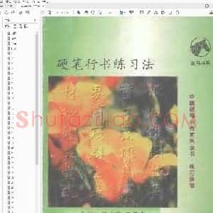 庞中华 王玉孝 硬笔行书练习法.pdf