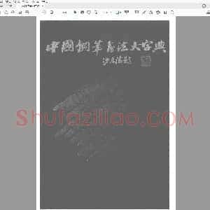沙孟海 中国钢笔书法大字典.pdf