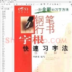 沈鸿根 钢笔行书字根快速习字法.pdf